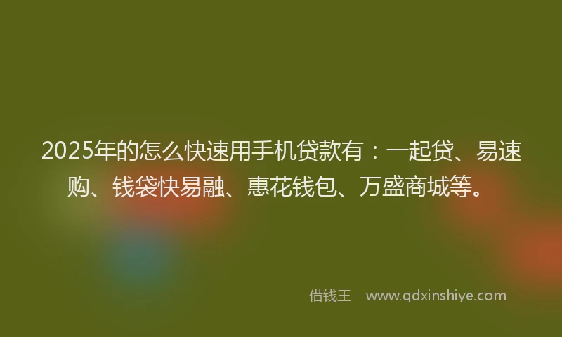 2025年的怎么快速用手机贷款有：一起贷、易速购、钱袋快易融、惠花钱包、万盛商城等。