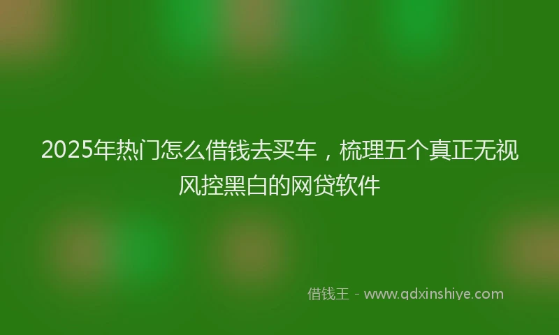 2025年热门怎么借钱去买车，梳理五个真正无视风控黑白的网贷软件