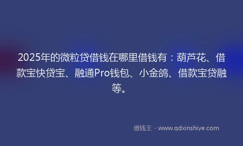 2025年的微粒贷借钱在哪里借钱有：葫芦花、借款宝快贷宝、融通Pro钱包、小金鸽、借款宝贷融等。