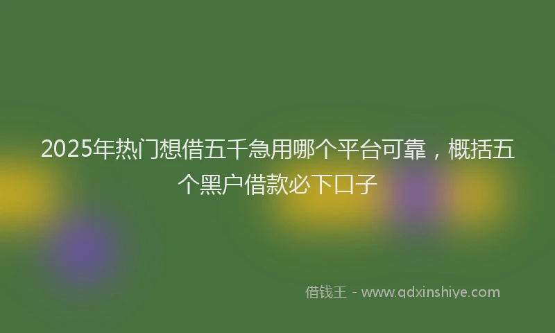 2025年热门想借五千急用哪个平台可靠，概括五个黑户借款必下口子