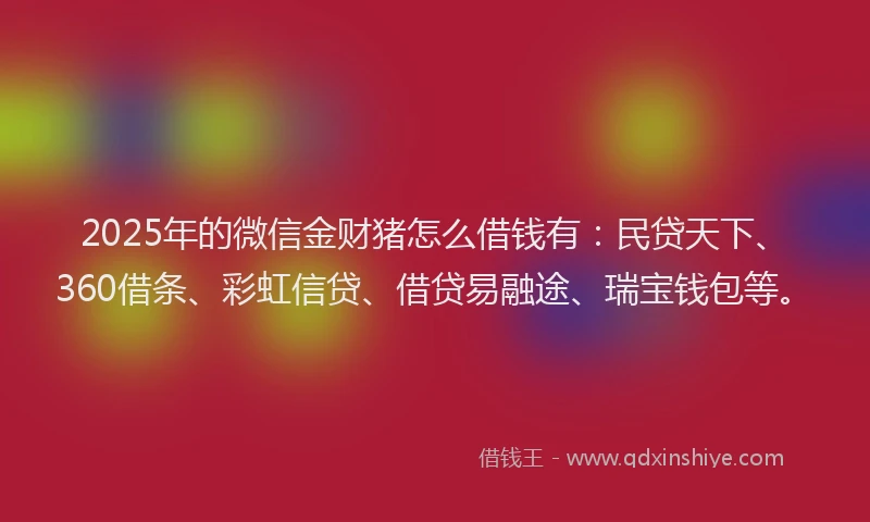 2025年的微信金财猪怎么借钱有：民贷天下、360借条、彩虹信贷、借贷易融途、瑞宝钱包等。