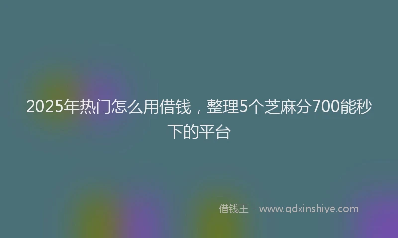 2025年热门怎么用借钱，整理5个芝麻分700能秒下的平台