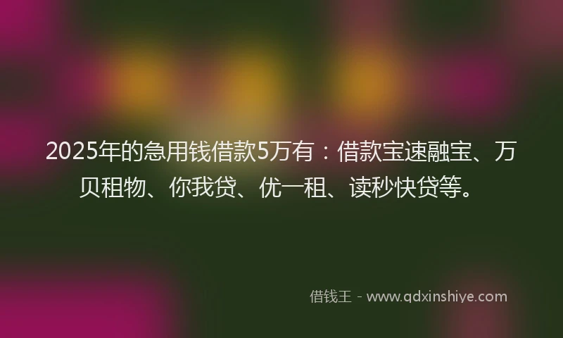 2025年的急用钱借款5万有：借款宝速融宝、万贝租物、你我贷、优一租、读秒快贷等。