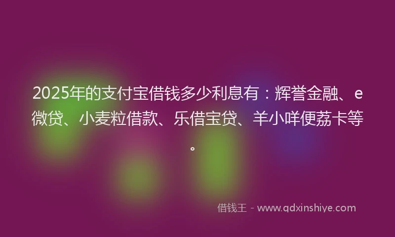2025年的支付宝借钱多少利息有：辉誉金融、e微贷、小麦粒借款、乐借宝贷、羊小咩便荔卡等。