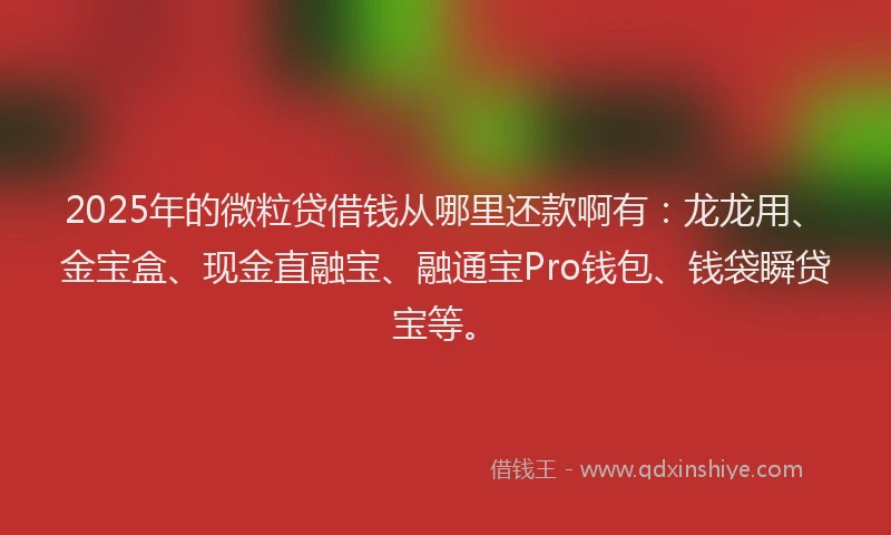 2025年的微粒贷借钱从哪里还款啊有：龙龙用、金宝盒、现金直融宝、融通宝Pro钱包、钱袋瞬贷宝等。