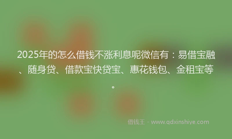 2025年的怎么借钱不涨利息呢微信有：易借宝融、随身贷、借款宝快贷宝、惠花钱包、金租宝等。