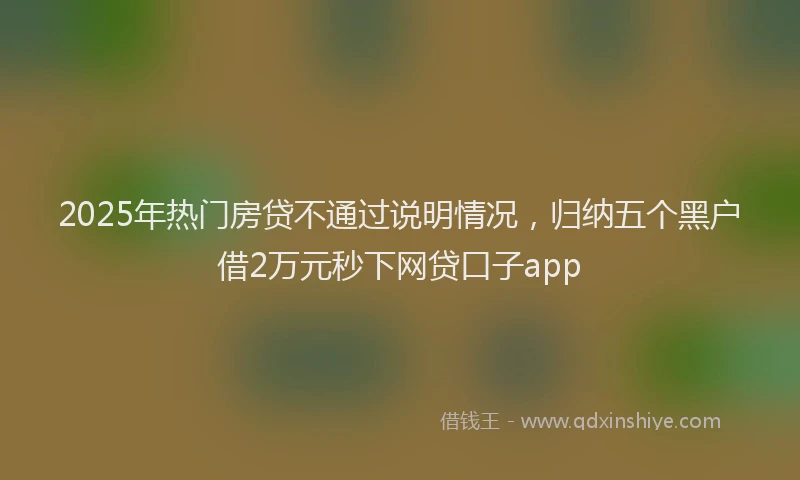 2025年热门房贷不通过说明情况，归纳五个黑户借2万元秒下网贷口子app