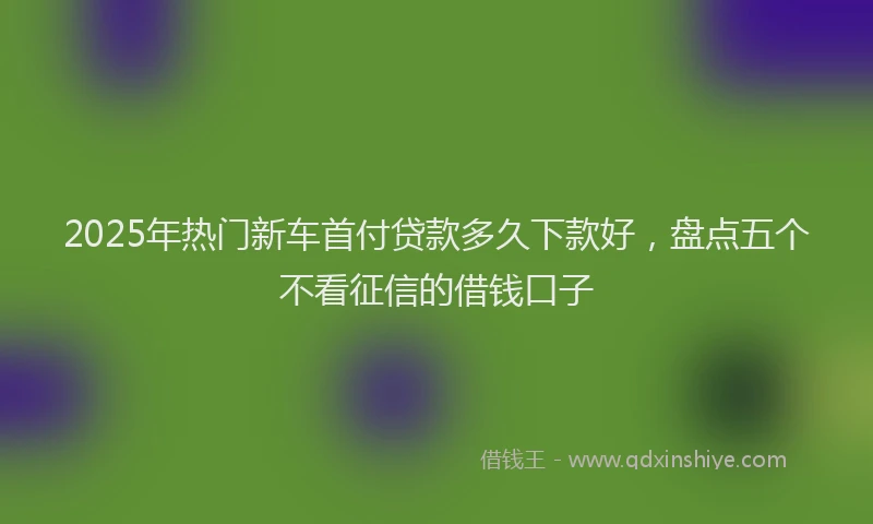 2025年热门新车首付贷款多久下款好，盘点五个不看征信的借钱口子