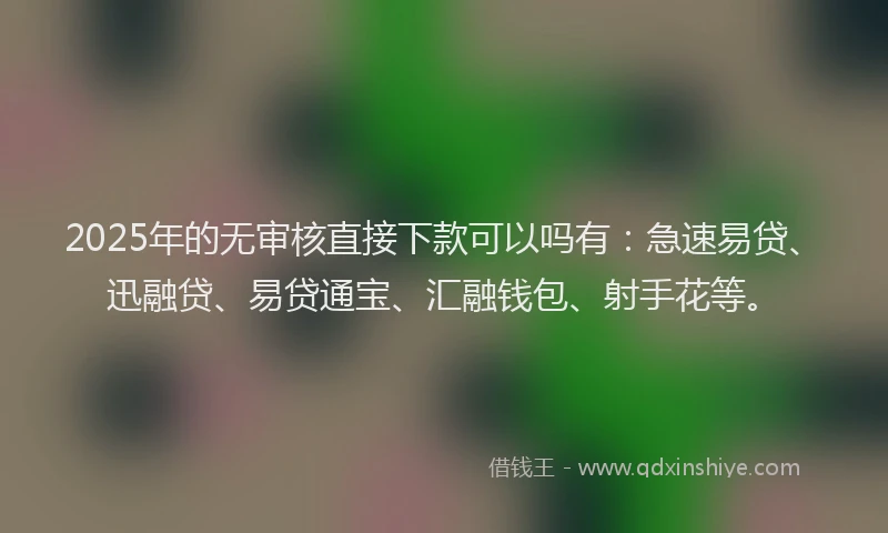 2025年的无审核直接下款可以吗有：急速易贷、迅融贷、易贷通宝、汇融钱包、射手花等。