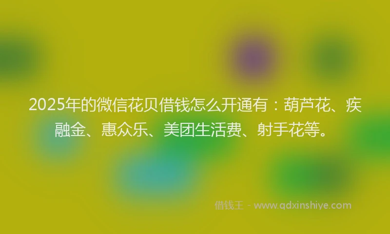 2025年的微信花贝借钱怎么开通有：葫芦花、疾融金、惠众乐、美团生活费、射手花等。
