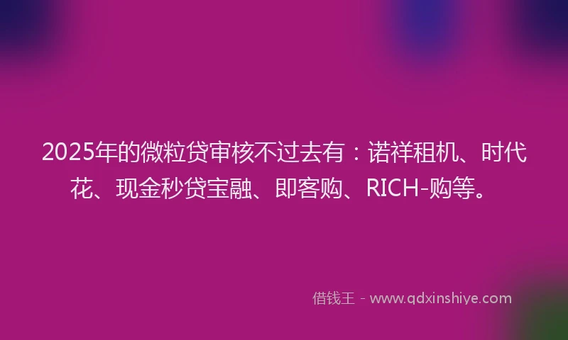 2025年的微粒贷审核不过去有：诺祥租机、时代花、现金秒贷宝融、即客购、RICH-购等。