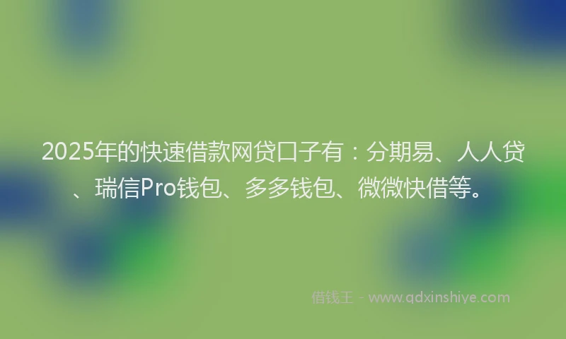 2025年的快速借款网贷口子有：分期易、人人贷、瑞信Pro钱包、多多钱包、微微快借等。