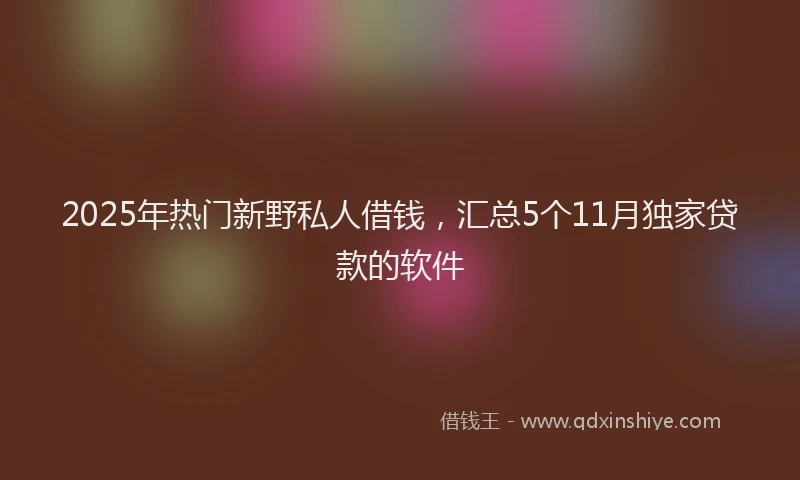 2025年热门新野私人借钱，汇总5个11月独家贷款的软件