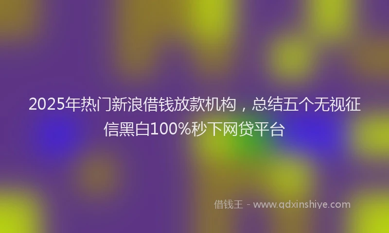 2025年热门新浪借钱放款机构，总结五个无视征信黑白100%秒下网贷平台