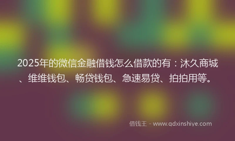 2025年的微信金融借钱怎么借款的有：沐久商城、维维钱包、畅贷钱包、急速易贷、拍拍用等。
