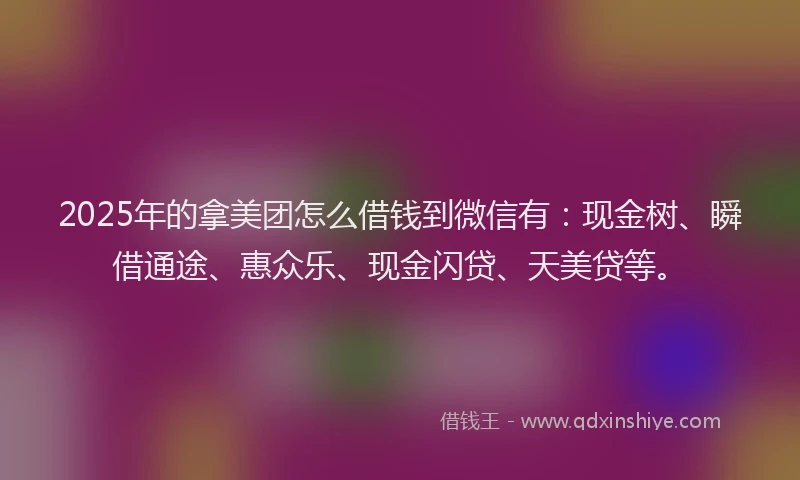 2025年的拿美团怎么借钱到微信有：现金树、瞬借通途、惠众乐、现金闪贷、天美贷等。