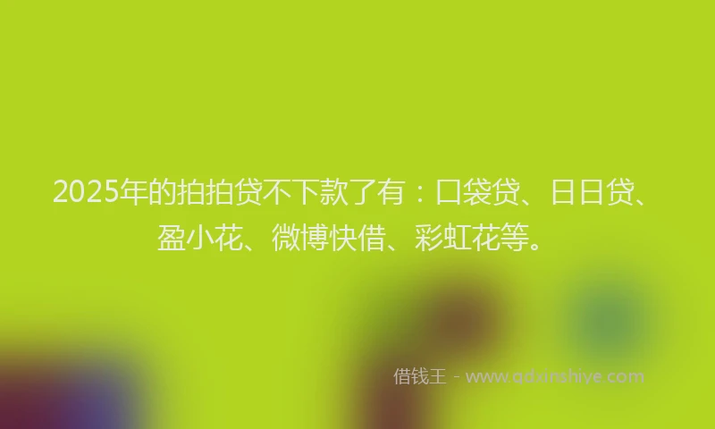 2025年的拍拍贷不下款了有：口袋贷、日日贷、盈小花、微博快借、彩虹花等。