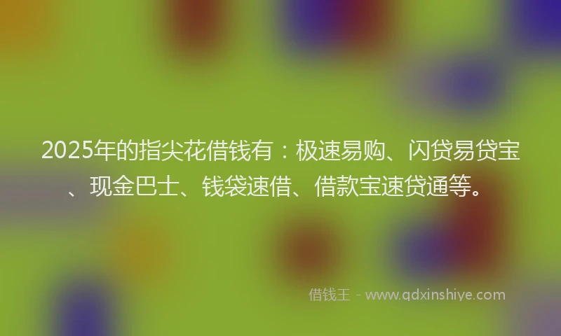 2025年的指尖花借钱有：极速易购、闪贷易贷宝、现金巴士、钱袋速借、借款宝速贷通等。
