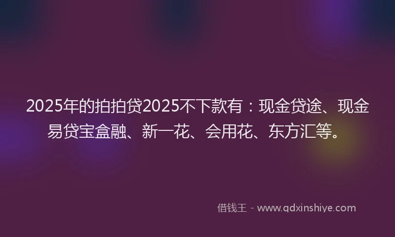 2025年的拍拍贷2025不下款有：现金贷途、现金易贷宝盒融、新一花、会用花、东方汇等。
