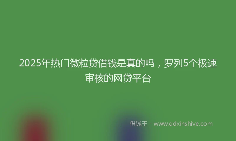 2025年热门微粒贷借钱是真的吗，罗列5个极速审核的网贷平台