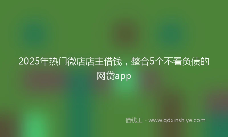 2025年热门微店店主借钱，整合5个不看负债的网贷app
