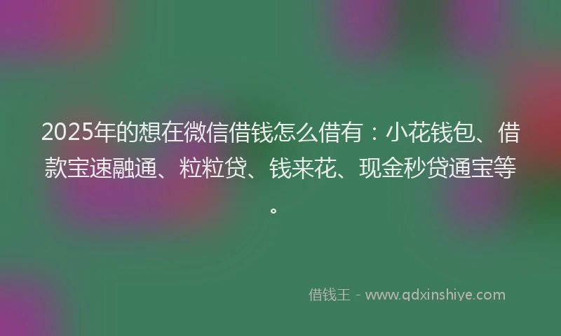 2025年的想在微信借钱怎么借有：小花钱包、借款宝速融通、粒粒贷、钱来花、现金秒贷通宝等。
