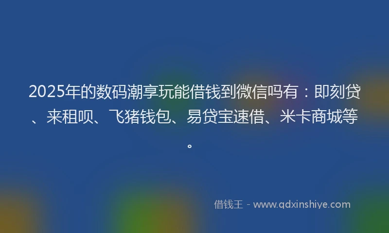 2025年的数码潮享玩能借钱到微信吗有：即刻贷、来租呗、飞猪钱包、易贷宝速借、米卡商城等。