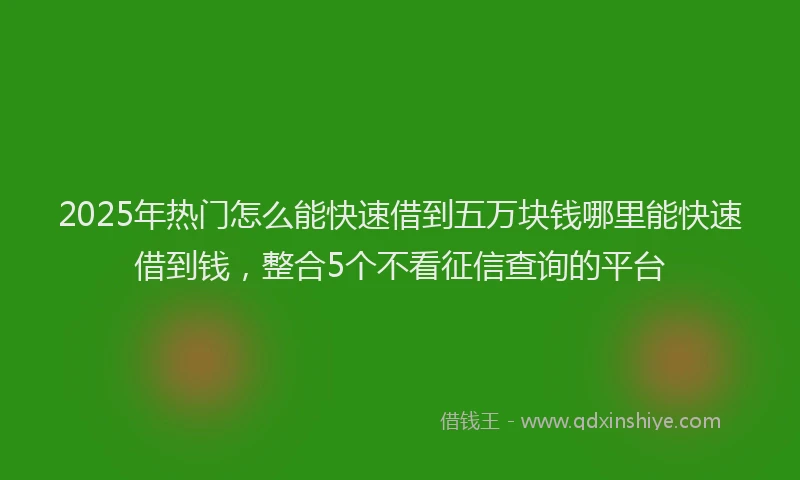 2025年热门怎么能快速借到五万块钱哪里能快速借到钱，整合5个不看征信查询的平台