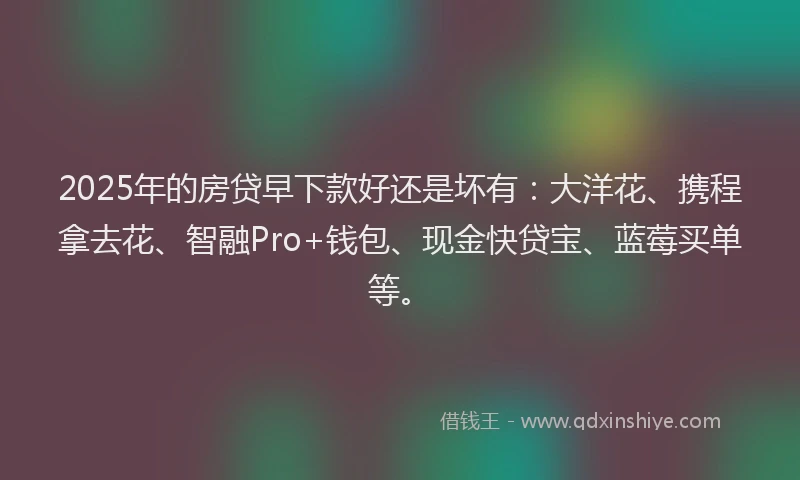 2025年的房贷早下款好还是坏有：大洋花、携程拿去花、智融Pro+钱包、现金快贷宝、蓝莓买单等。
