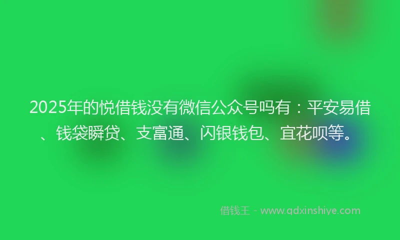 2025年的悦借钱没有微信公众号吗有：平安易借、钱袋瞬贷、支富通、闪银钱包、宜花呗等。