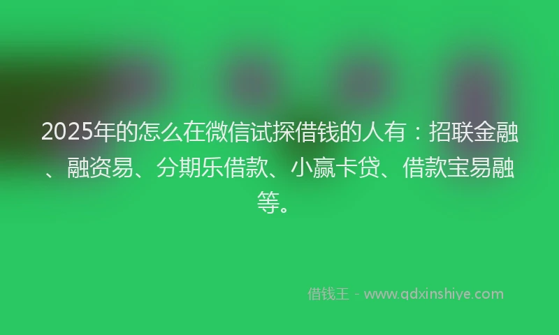 2025年的怎么在微信试探借钱的人有：招联金融、融资易、分期乐借款、小赢卡贷、借款宝易融等。