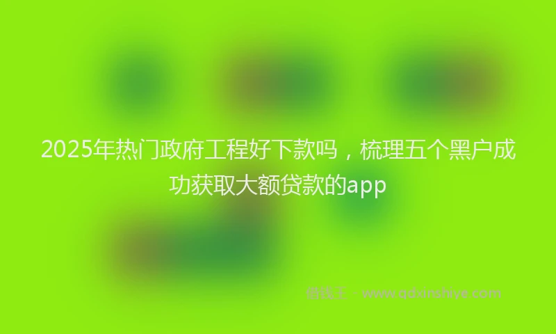 2025年热门政府工程好下款吗，梳理五个黑户成功获取大额贷款的app
