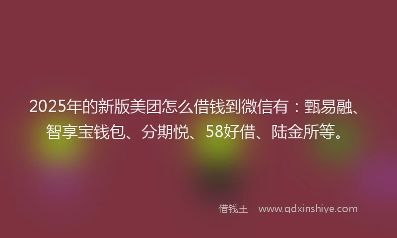 2025年的新版美团怎么借钱到微信有：甄易融、智享宝钱包、分期悦、58好借、陆金所等。
