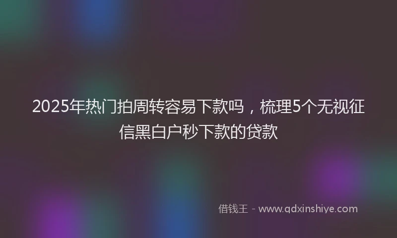 2025年热门拍周转容易下款吗，梳理5个无视征信黑白户秒下款的贷款