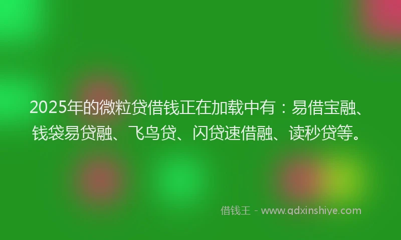 2025年的微粒贷借钱正在加载中有：易借宝融、钱袋易贷融、飞鸟贷、闪贷速借融、读秒贷等。