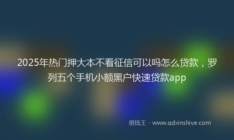 2025年热门押大本不看征信可以吗怎么贷款，罗列五个手机小额黑户快速贷款app