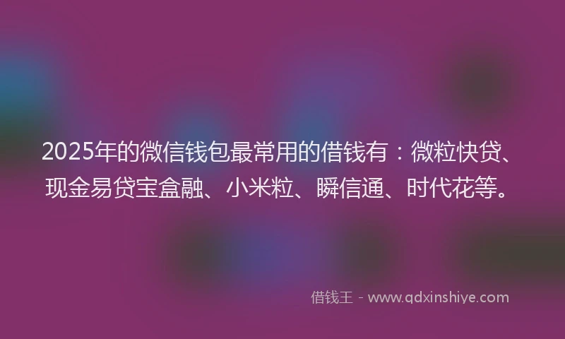 2025年的微信钱包最常用的借钱有：微粒快贷、现金易贷宝盒融、小米粒、瞬信通、时代花等。