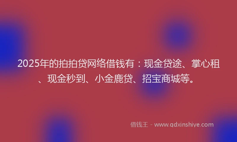 2025年的拍拍贷网络借钱有：现金贷途、掌心租、现金秒到、小金鹿贷、招宝商城等。