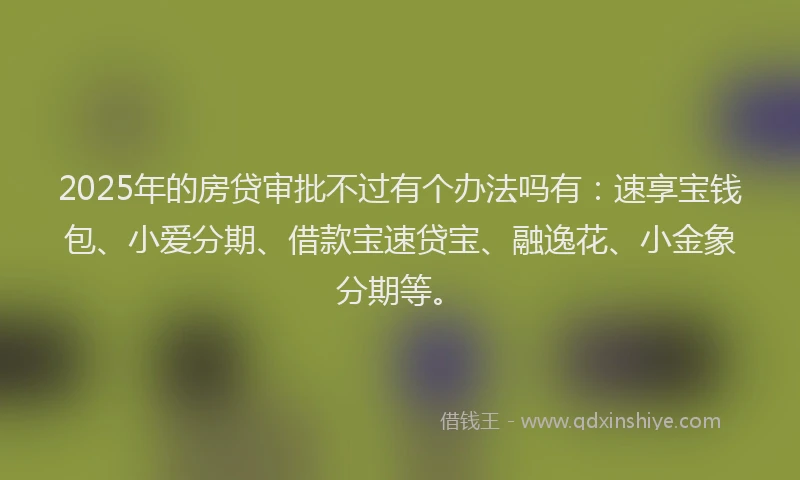 2025年的房贷审批不过有个办法吗有：速享宝钱包、小爱分期、借款宝速贷宝、融逸花、小金象分期等。