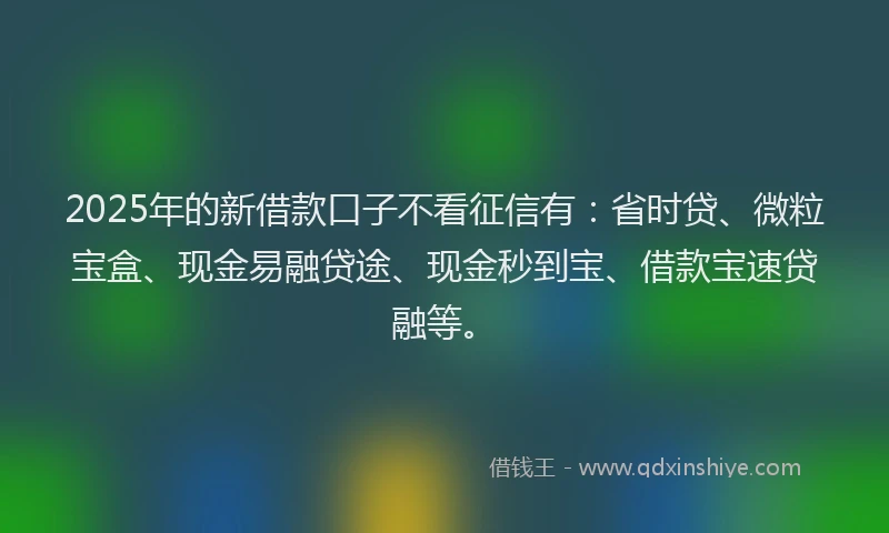 2025年的新借款口子不看征信有：省时贷、微粒宝盒、现金易融贷途、现金秒到宝、借款宝速贷融等。