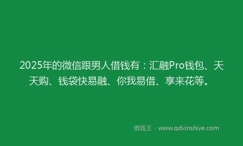 2025年的微信跟男人借钱有：汇融Pro钱包、天天购、钱袋快易融、你我易借、享来花等。