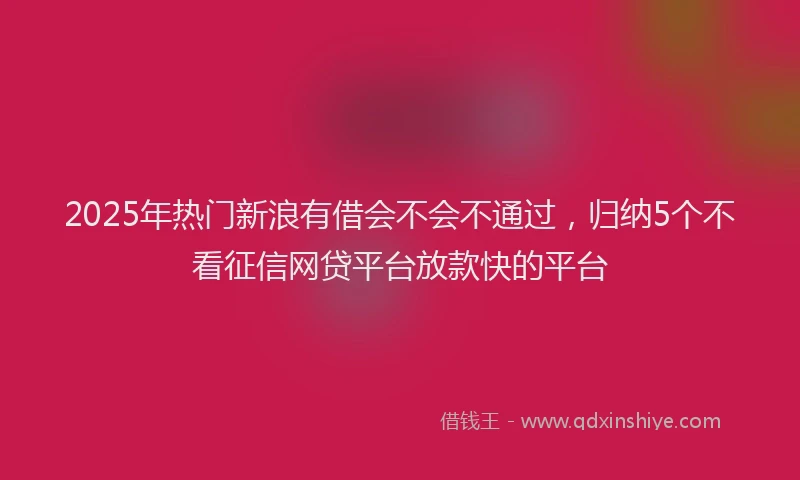 2025年热门新浪有借会不会不通过，归纳5个不看征信网贷平台放款快的平台