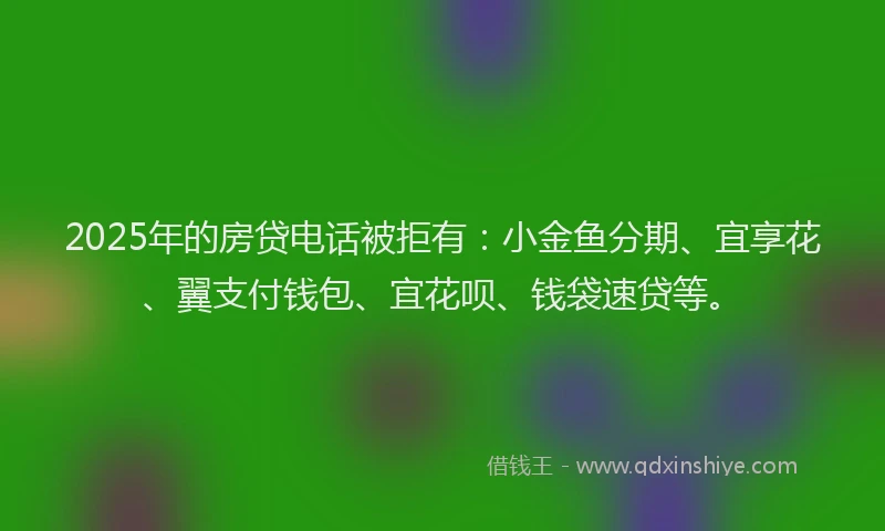 2025年的房贷电话被拒有：小金鱼分期、宜享花、翼支付钱包、宜花呗、钱袋速贷等。