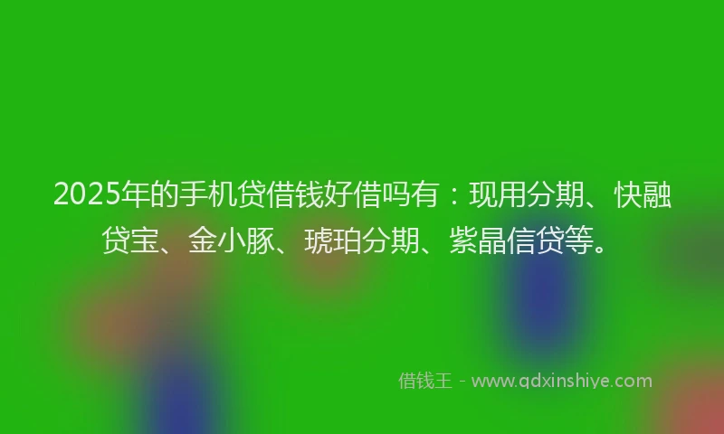 2025年的手机贷借钱好借吗有：现用分期、快融贷宝、金小豚、琥珀分期、紫晶信贷等。