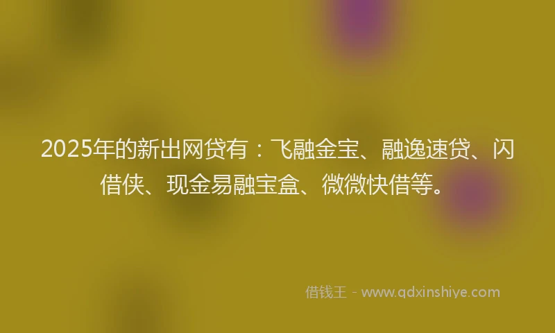 2025年的新出网贷有：飞融金宝、融逸速贷、闪借侠、现金易融宝盒、微微快借等。