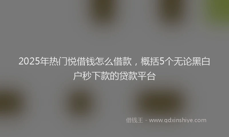 2025年热门悦借钱怎么借款，概括5个无论黑白户秒下款的贷款平台