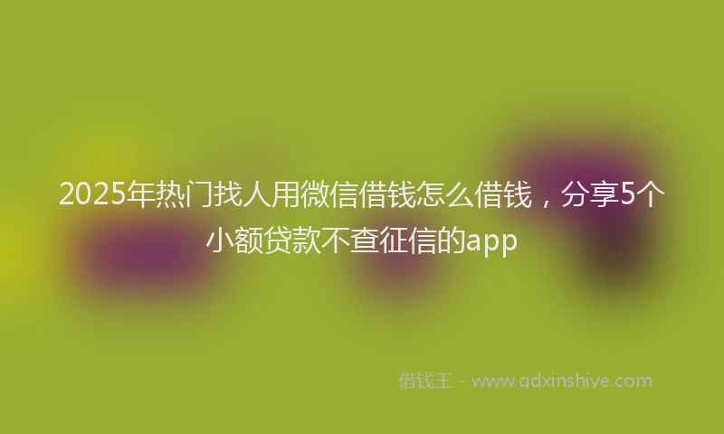 2025年热门找人用微信借钱怎么借钱，分享5个小额贷款不查征信的app