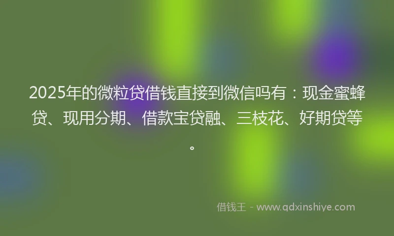 2025年的微粒贷借钱直接到微信吗有：现金蜜蜂贷、现用分期、借款宝贷融、三枝花、好期贷等。