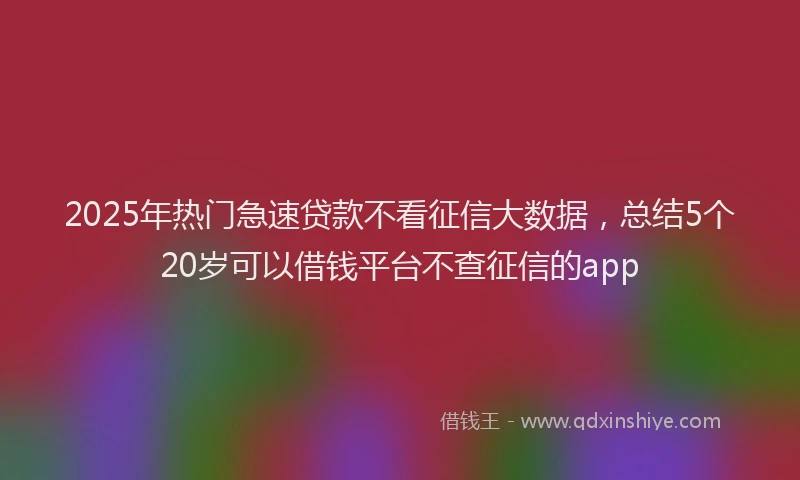 2025年热门急速贷款不看征信大数据，总结5个20岁可以借钱平台不查征信的app