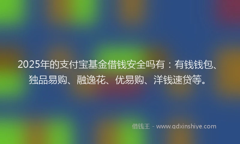 2025年的支付宝基金借钱安全吗有：有钱钱包、独品易购、融逸花、优易购、洋钱速贷等。